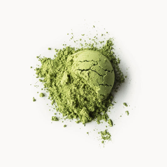 Barista Matcha
